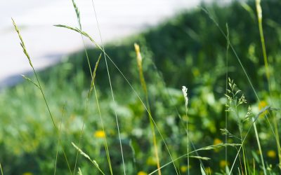 4 hyvinvointitekoa kesäaikaan