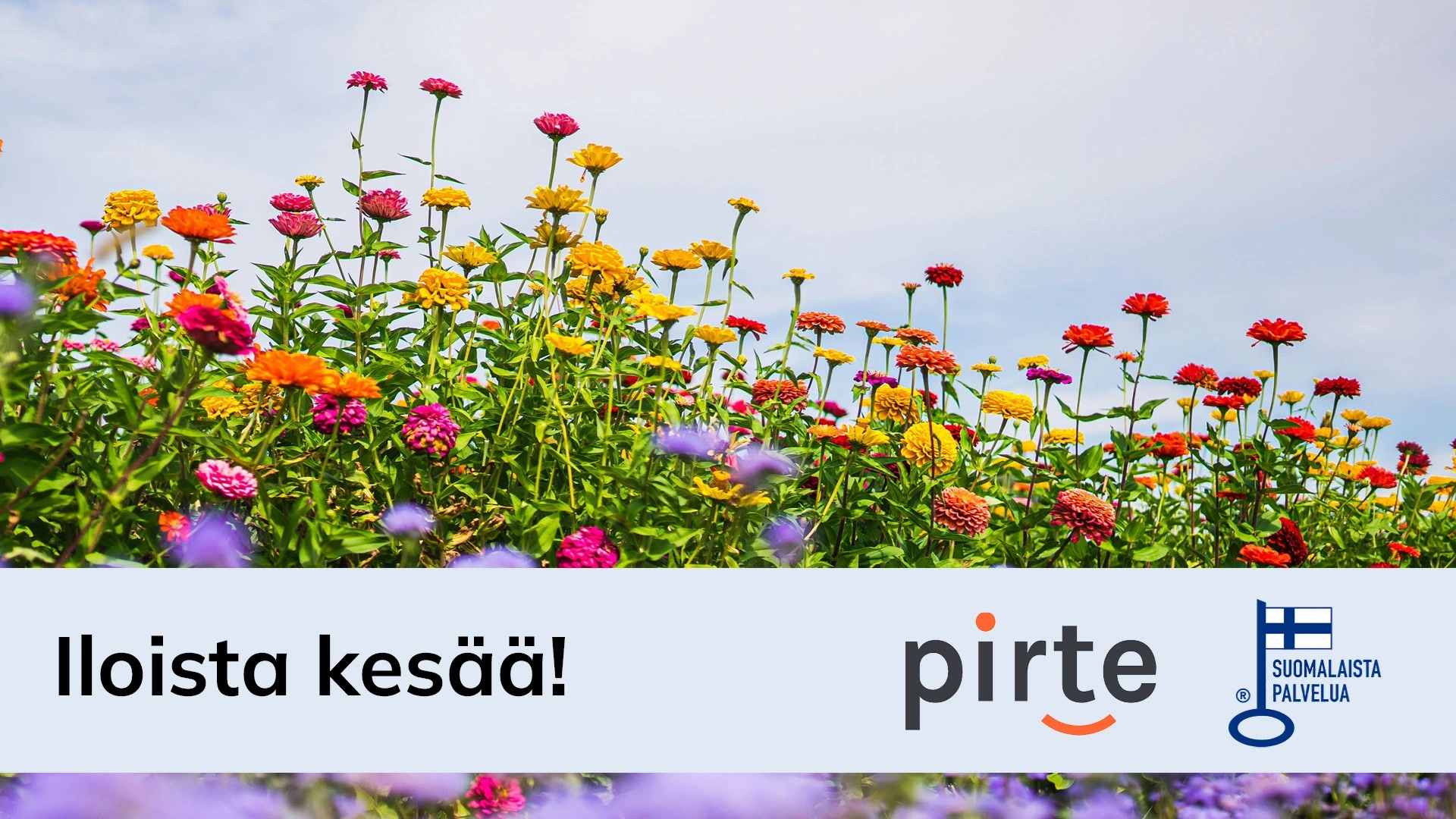 Pirte toivottaa iloista kesää. Kuvassa kukkaketo.